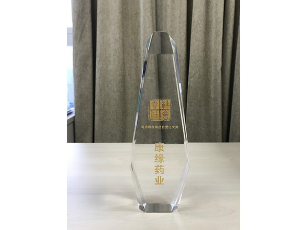 可持續(xù)發(fā)展社會(huì)責(zé)任大獎(jiǎng)