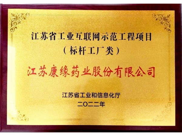 江蘇省工業(yè)互聯(lián)網(wǎng)示范工程項(xiàng)目“標(biāo)桿工廠類(lèi)”
